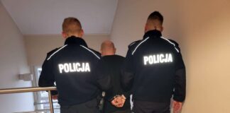 Złodziej drewna złapany dzięki fotopułapce
