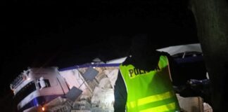 Kury na drodze! 4 tysiące sztuk drobiu wypadło z ciężarówki