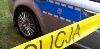 Tragiczny wypadek podczas załadunku drewna