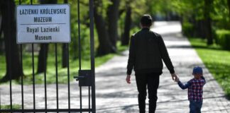 Częsty kontakt z naturą pozytywnie wpływa na mózgi dzieci