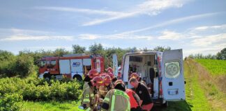 Tragiczny wypadek przy zbiorze porzeczek. Mężczyzna wciągnięty przez maszynę
