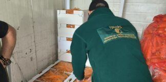 Inspektorzy w akcji. Fatalny wynik kontroli warzyw, owoców i ziemniaków