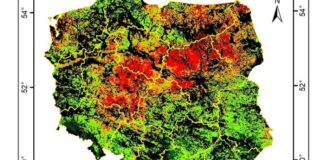 IGiK opublikował najnowszą mapę suszy rolniczej w Polsce, sytuacja jest ekstremalna