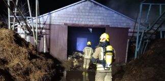 Dramat w gospodarstwie. Spłonęło olbrzymie stado krów. Straty na ponad milion złotych