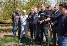 Straty w sadach po przymrozkach. Rolnicy mają dostać wsparcie