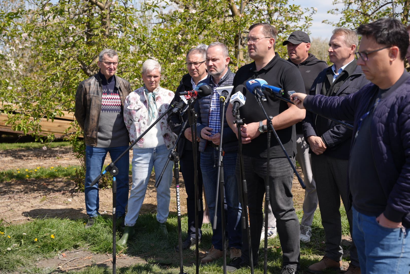 Straty w sadach po przymrozkach. Rolnicy mają dostać wsparcie