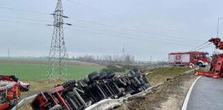 Wypadek na obwodnicy Kluczborka – ciężarówka z drobiem wypadła z drogi