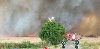 Olbrzymi pożar zboża na pniu. 71 hektarów poszło z dymem