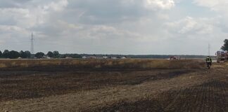 Pożar podczas żniw. Spłonęło 10 hektarów zboża!