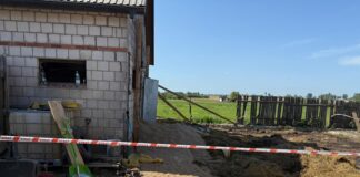 Strop runął na bydło! Strażacy walczyli o życie zwierząt