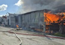 Olbrzymi pożar chlewni w Odmach. Strażacy ratowali 700 świń