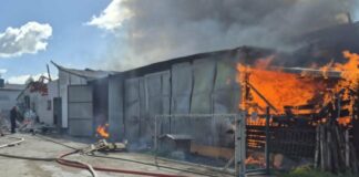 Olbrzymi pożar chlewni w Odmach. Strażacy ratowali 700 świń