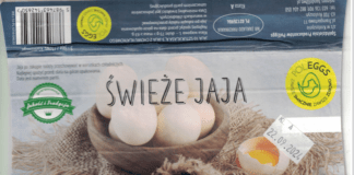 GIS ostrzega przed salmonellą w jajkach!