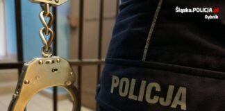 Złodziej ukradł 2 pługi ciągnikowe. O jego losie zadecyduje sąd