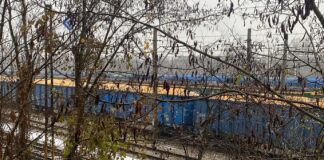 „Tajemnicze wagony z kukurydzą” wyjaśnione. MRiRW: to polskie ziarno, nie import z Ukrainy