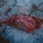 130 kg mięsa porzucone w lesie! Leśnicy: To realne zagrożenie epidemiologiczne