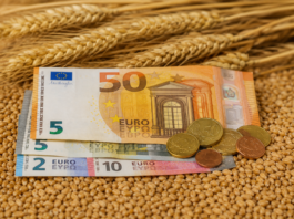 Zaliczki dla litewskich rolników na podstawowe wsparcie dochodów ruszą już 17 sierpnia wygenerowane przez AI