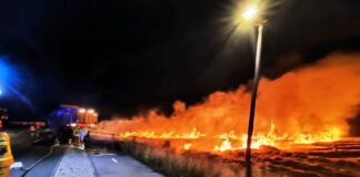 Turów: Pożar kombajnu i zboża na pniu