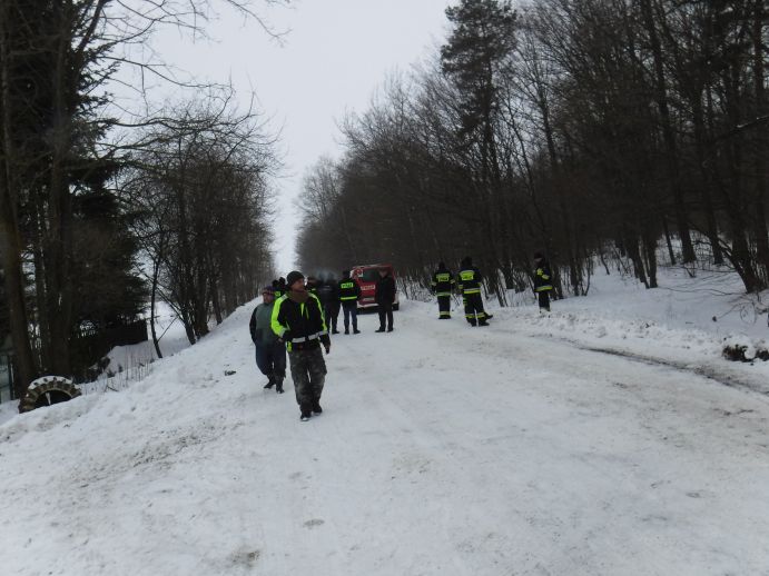 17 sztuk bydła uciekło z gospodarstwa do lasu Fot.: straz-janowlub.pl