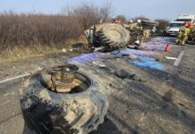 Makabra na drodze! Ursus totalnie zdemolowany