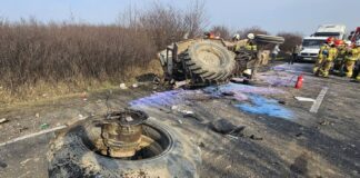 Makabra na drodze! Ursus totalnie zdemolowany
