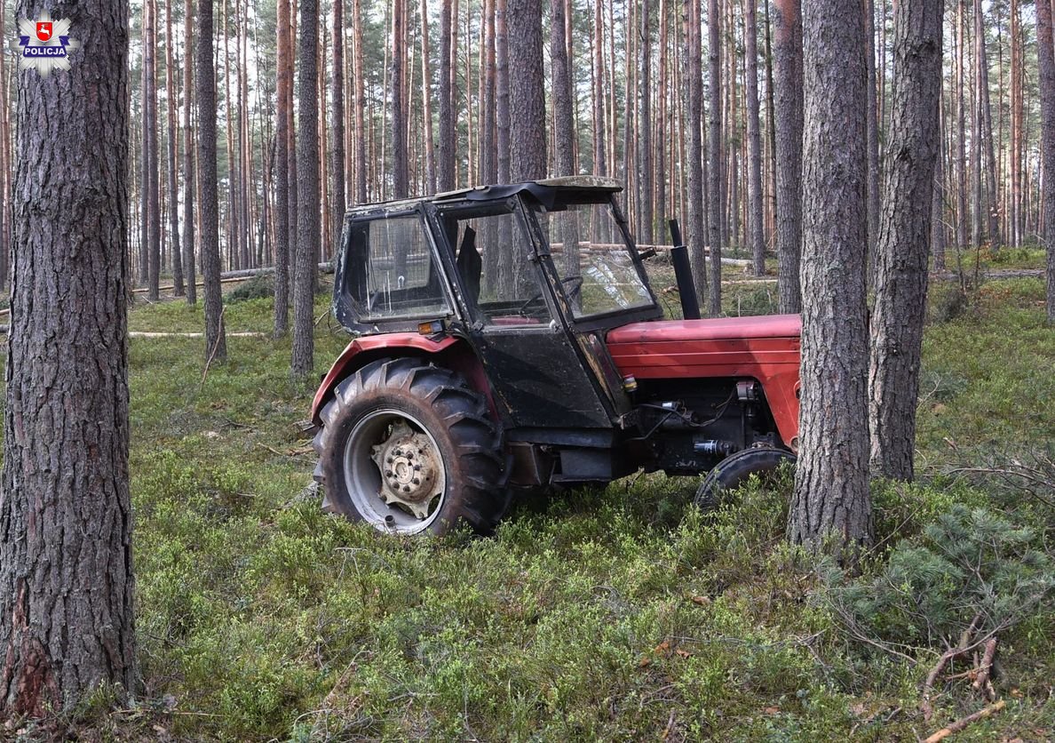 Tragiczny finał prac w lesie