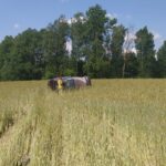 30 czerwca ostatnim dniem składania wniosków w 4 naborach o przyznane pomocy finansowej