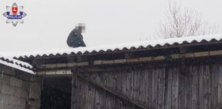 Jeden ukrył się w tapczanie, drugi uciekł na dach stodoły…