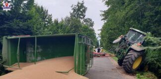 Od ciągnika odpadło koło. Przyczepa ze zbożem przewróciła się na drogę!