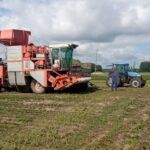Śmierć podczas prac polowych. Kombajn zahaczył o linię energetyczną