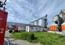 Pożar rzepaku w silosie. W środku było około 1000 ton ziarna