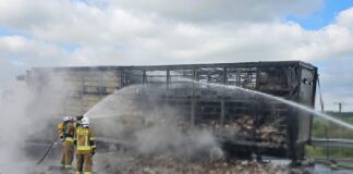 Pożar ciężarówki z drobiem. Dramatyczna akcja na ekspresówce