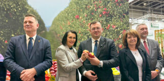Polska liderem sektorze owoców i warzyw