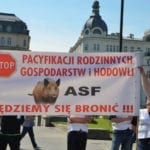Za wcześnie na ogłoszenie sukcesu w walce z ASF