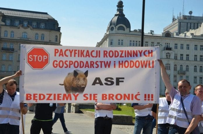ASF, walka z ASF, KZP-PTCh, Krajowy Związek Pracodawców Producentów Trzody Chlewnej, 