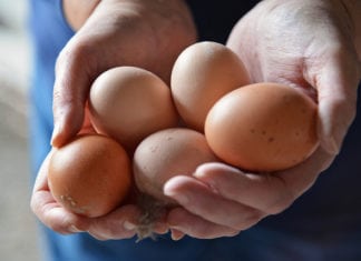 Chów klatkowy pozostanie liderem jeszcze przez wiele lat