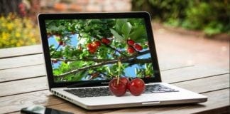 40 milionów złotych dla gmin na szybki internet
