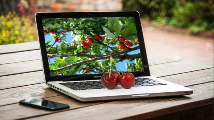 internet na wsi, kompetencje cyfrowe