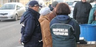 Czarny poniedziałek. Weterynarze zaostrzają protest