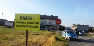 Kolejne gminy uwolnione od ASF, ale powodów do radości nie ma