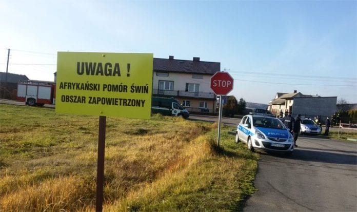 rozmowy z USA na temat eksportu wieprzowiny, embargo, USA, ASF, ministerstwo rolnictwa