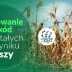Szkody powstałe w wyniku suszy – pomoc dla producentów rolnych