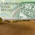 Dopłaty bezpośrednie i obszarowe z PROW za 2022 rok – blisko 17 mld zł przekazane rolnikom