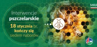 Interwencje pszczelarskie – nabory kończą się 18 stycznia