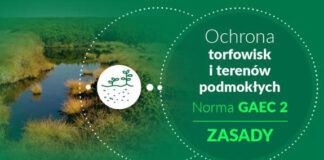 Co wynika z obowiązywania normy GAEC 2, czyli ochrony torfowisk i obszarów podmokłych?
