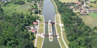 Sukces polskich naukowców – znaleźli sposób na złotą algę