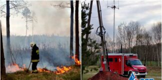 35 hektarów lasu spłonęło w nadleśnictwie Włodawa. Pożar gaszono z ziemi i powietrza