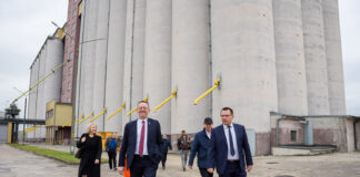 Wzrost ruchu w skupach. 40 proc. zboża rolnicy już sprzedali