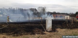 Podpalił 30 arów traw! Odpowie przed sądem także za inne wykroczenia!
