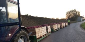 „Rolniczy pociąg” zatrzymany pod Sandomierzem! 32-latka ciągnęła cztery wózki sadownicze!